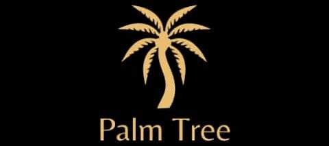 PalmTree
